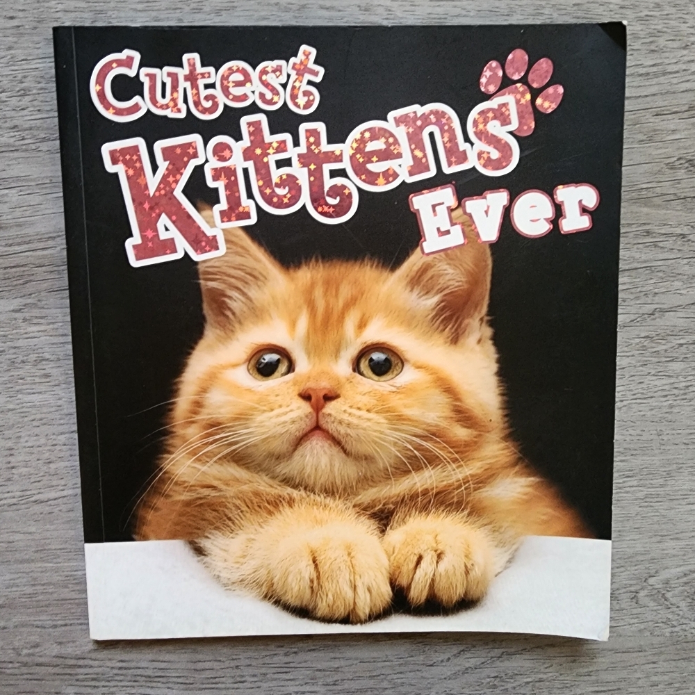 Cutest Kittens Ever Children's Nonfiction Paperback Picture Book 2017